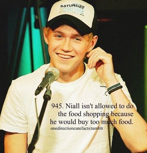 Niall Horan Fact <3