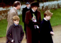 Princess Diana and the Princes - princess-diana-and-her-sons photo