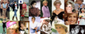 Princess Diana wallpapers - princess-diana photo