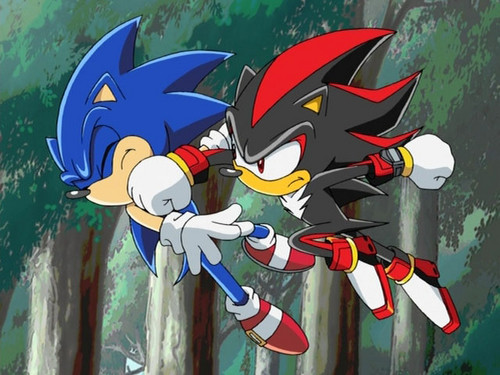  SHADOW HAS THE URGE TO KICK SONIC'S গাধা