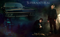 Sam & Dean - supernatural wallpaper