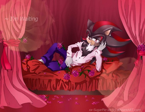 Shadow's so sexy and romantic <3
