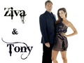 tiva - Tony and Ziva Wallpaper wallpaper
