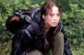 World Of Hunger Games - katniss-everdeen photo