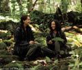 World Of Hunger Games - katniss-everdeen photo