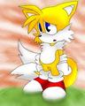 tails - sonic-x photo
