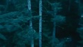 twilight trailer imagens - twilight-series screencap