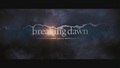 twilight-series - "The Twilight Saga: Breaking Dawn - Part 1" {HD full movie screencaps}. screencap
