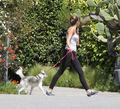 05/04 Jogging With Her Dog In Los Angeles - miley-cyrus photo