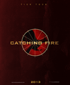 Catching Fire - the-hunger-games fan art