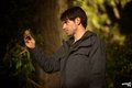 Episode 1.16 - The Thing with Feathers - Promo Photos  - grimm photo