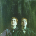 Fred and George Weasley <3 - fred-and-george-weasley icon