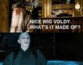 Funny Harry Potter Pic - harry-potter photo