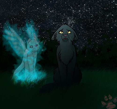 Ghost-of-silverstream-warrior-cats-forever-30356666-500-467
