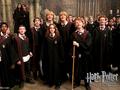 Gryffindor - hermione-granger photo