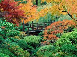  日本 花 Garden