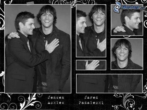  Jensen&Jared