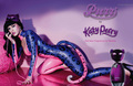 Katy - Mix - katy-perry photo
