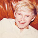 Niall - one-direction icon