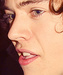 Harry - one-direction icon