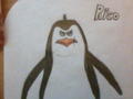 Rico - penguins-of-madagascar fan art