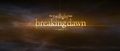 Teaser breaking dawn - robert-pattinson screencap
