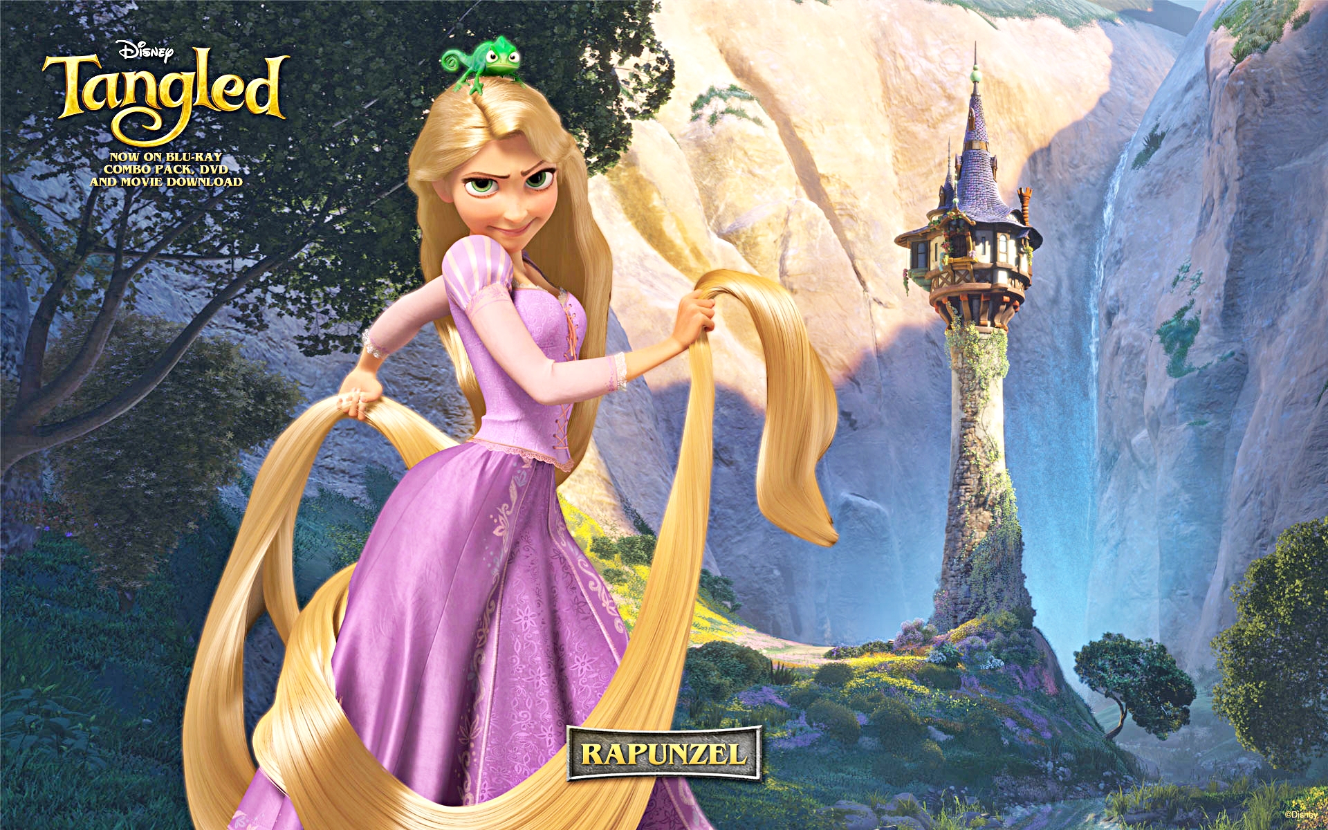 Walt Disney Wallpapers - Princess Rapunzel & Pascal - Walt Disney  Characters Wallpaper (30354162) - Fanpop - Page 7