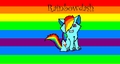 rainbowdash the cat - my-little-pony-friendship-is-magic fan art