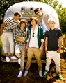 1D<3 - one-direction photo