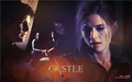 Castle Tv Show wallpapers - castle wallpaper