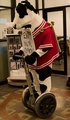 Cow! - random photo