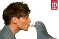 KEVIN - one-direction photo