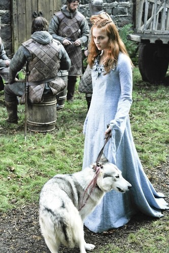  Lady and Sansa Stark