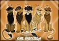 Lion Direction xD <3 - one-direction photo