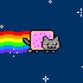Nyan cat - random photo