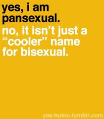 Pansexuality by Karen Morgaine