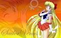 Sailor Venus - anime photo