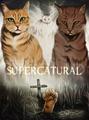 Season Four *Cat-ized Edition* - supernatural fan art
