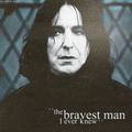 Severus Snape - harry-potter photo