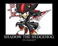Shadow the Hedgehog - shadow-the-hedgehog photo