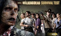 The Walking Dead "Walkpapers" :D - the-walking-dead photo