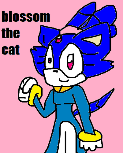  blossie the cat