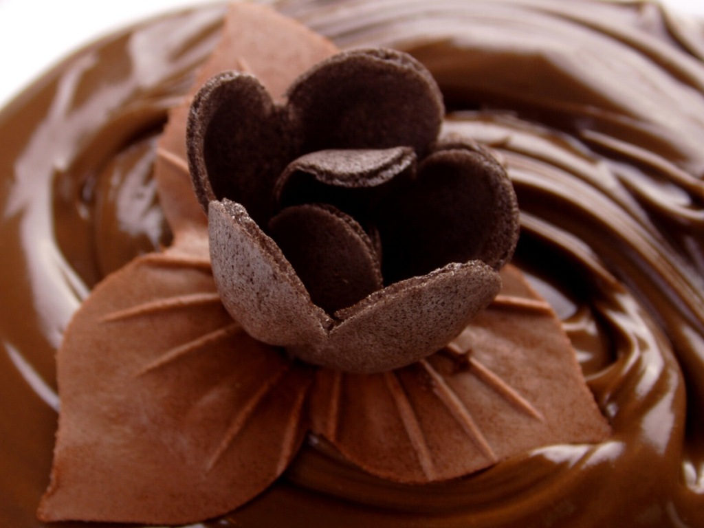 chocolate - Chocolate Wallpaper (30471795) - Fanpop