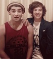 zayn and harry♥ - one-direction photo