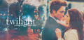 Assorted Twilight Photos - twilight-series photo