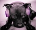 Cool Headphone Pictures - music icon