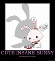 Cute Insane Bunny - random photo