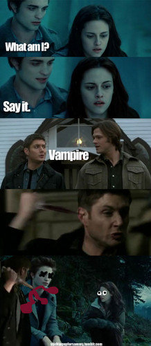  Dean, Sam and Twilight