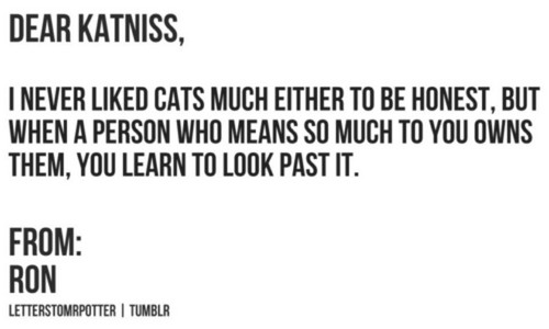 Dear Katniss