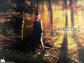 evanescence - Evanescence! wallpaper